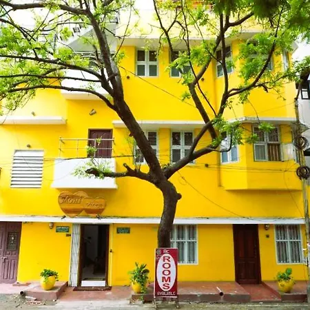 Mohi Villa-2