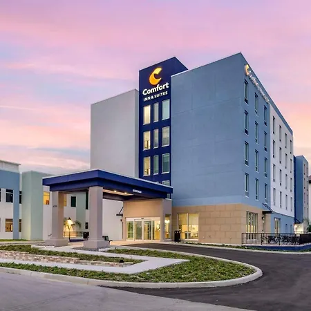 Comfort Inn & Suites New Port Richey Downtown District-2