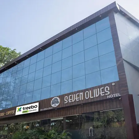 Treebo Seven Olives-3