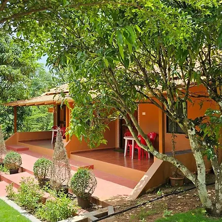 Nature First Eco-Village-3