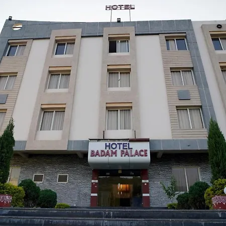 Hotel Badam Palace-3