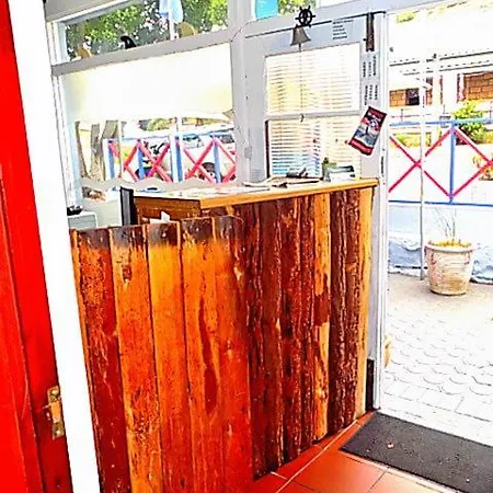Shark Shacks-2