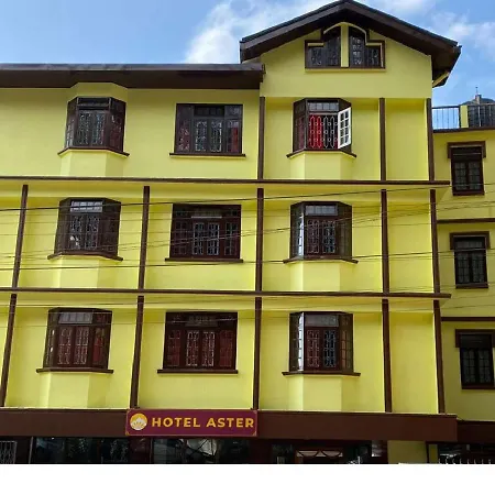 Hotel Aster-2