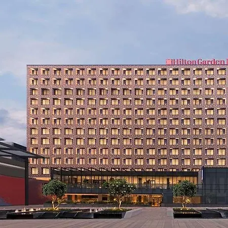 Hilton Garden Inn Bengaluru Embassy Manyata Business Park-2