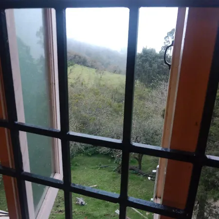 Olive Rooms Kodaikanal With Wifi, Spacious Rooms, Parking-3