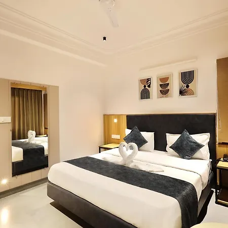 Hotel Sparkle Inn Just 400 Meters From Udaipur Railway Station-3
