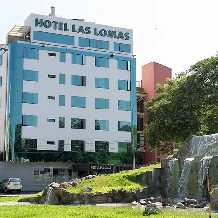 Hotel Las Lomas-3