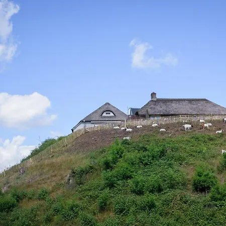 Het Montferland-3