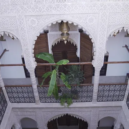 Riad Al Bahi-2