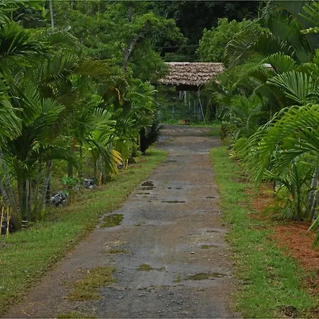 Pristine Beach Resort-3