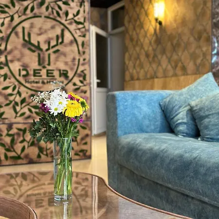 Deer Hostel & Hotel-2