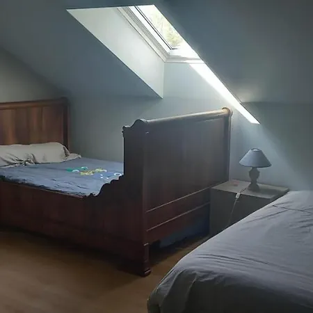 Les Grands Bois à BOUSSE-2