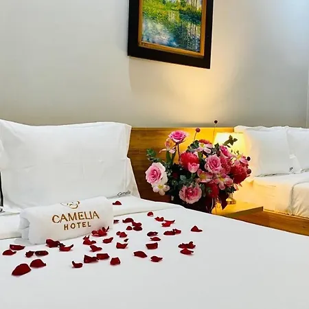 Camelia 108 Le Lai Hotel-2