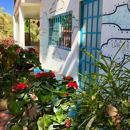 Surf N Roll House-3