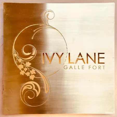 Ivy Lane Galle Fort-3