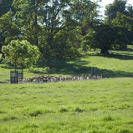 Park Farm-3