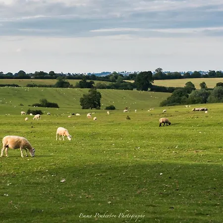 Park Farm-2