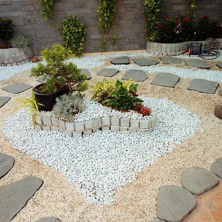 Dolce Mia Home - Pho Co Hoa Lu, Ninh Binh-3