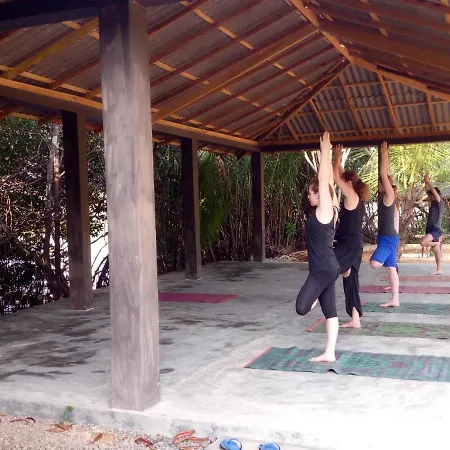 Mangrove Villa - Yoga & Ayurveda-3