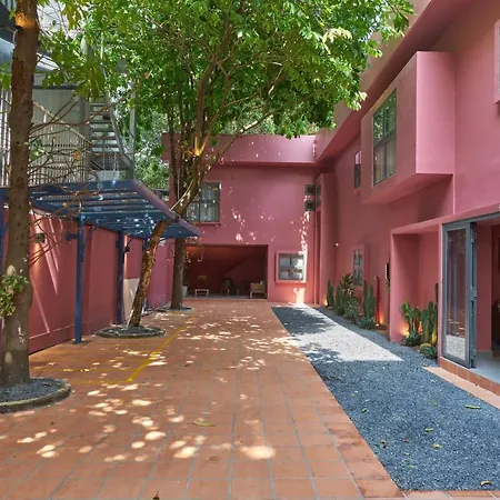 Express By M Village Ho Bieu Chanh, A Brand Of Modern Village Lifestyle-3