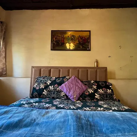 Kasol Jungle Retreat-3