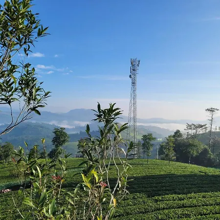 Cloud Canopy - Tea Garden Family Pool Cottage In Vagamon-2