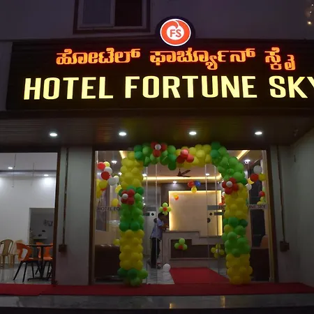 Hotel Fortune Sky-3