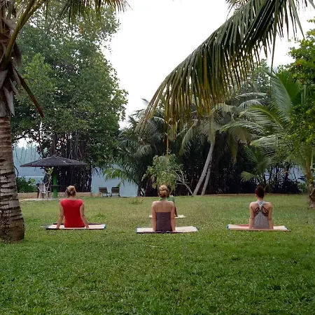 Mangrove Villa - Yoga & Ayurveda-3