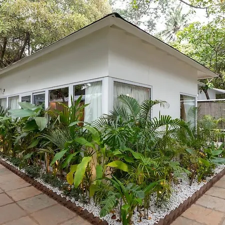 Swimup - Suites With Private Pool , Vagator-2