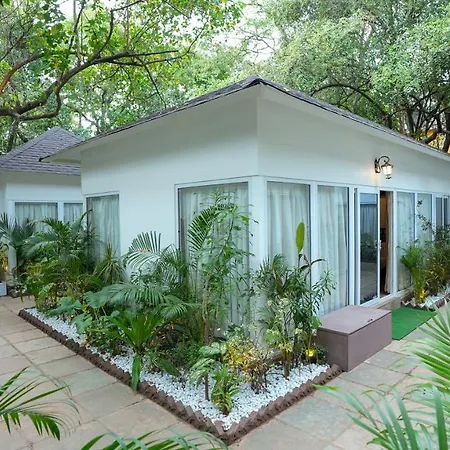 Swimup - Suites With Private Pool , Vagator-3