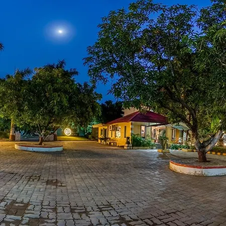 Saavaj Resort, Sasan Gir - Where Wilderness Meets Luxury-3