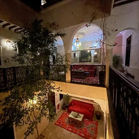 Riad Gjulja-2