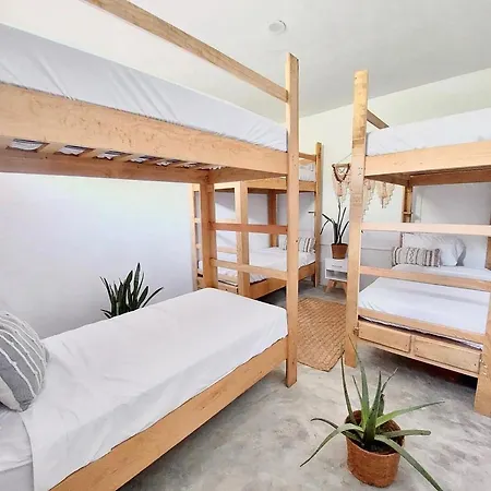 Surf N Roll House-2