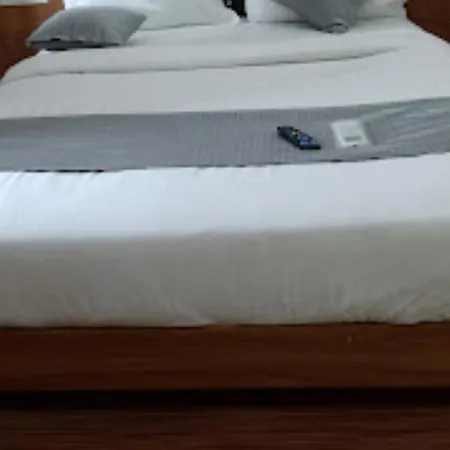 Hotel Sg Ac Rooms Vadodara-3