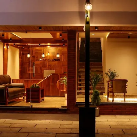 Ariat Avenue-2