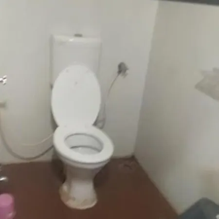 Hotel Ahinsa Palace, Ashoknagar-3