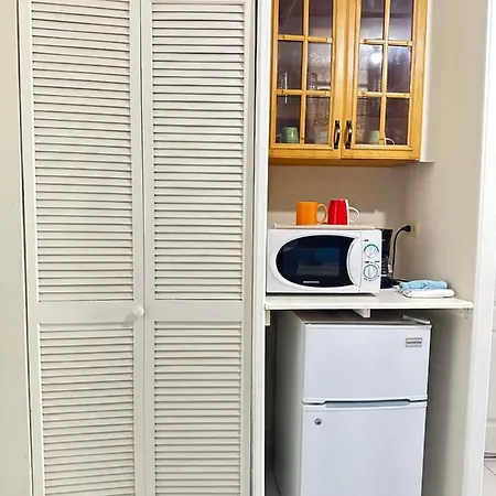 Shades Of Summer Apartments In Negril With Kitchen-2