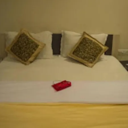 Shree Palace Hotel , Bhopal-2