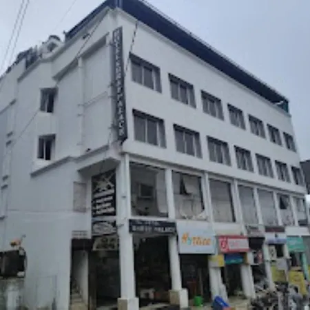 Shree Palace Hotel , Bhopal-3