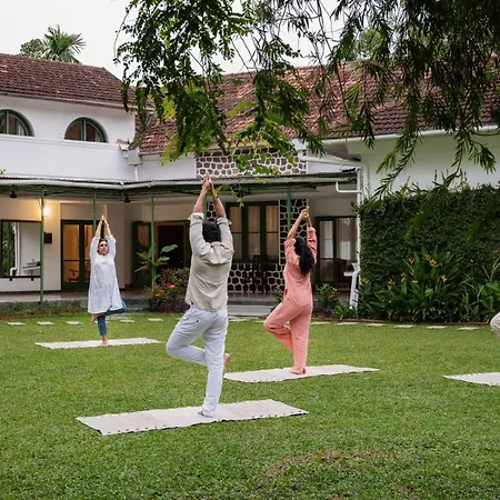 The Sacred Lotus Ayurveda Wellness Retreat-3