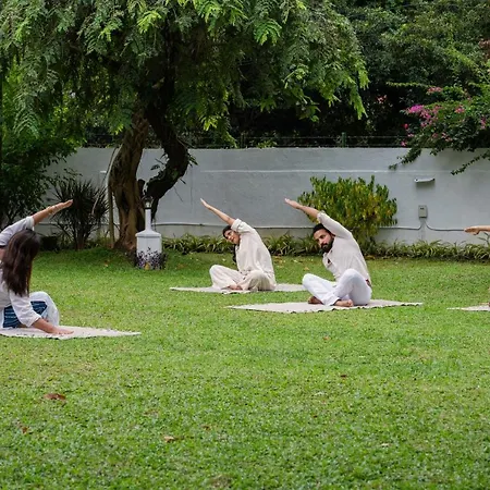 The Sacred Lotus Ayurveda Wellness Retreat-2