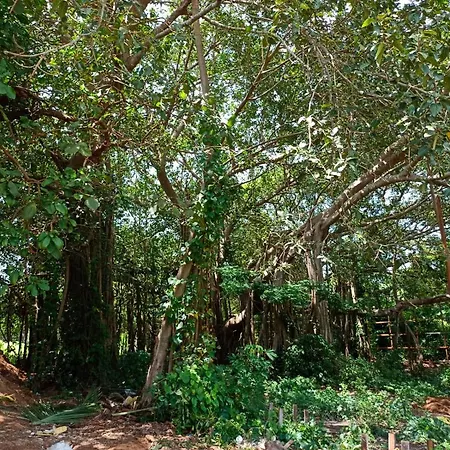 Rm Guest House ,Goa-3
