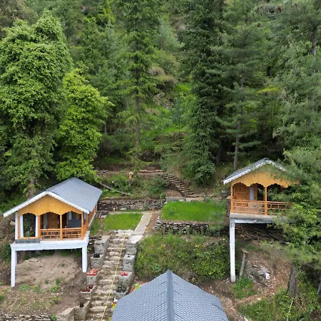 Tree House Latos Tandi-3