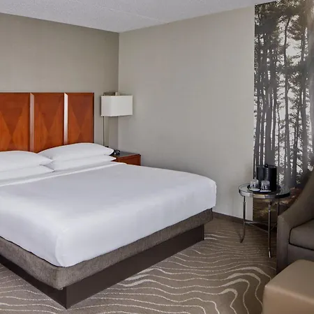 Detroit Metro Airport Marriott-3
