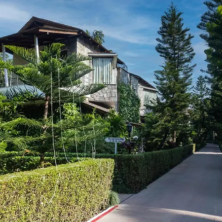 Wood Castle Spa & Resort-3