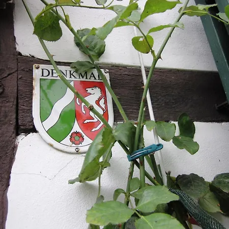 Rosindell Cottage-3