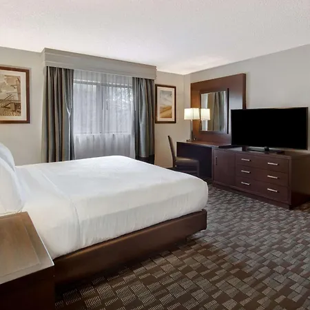Embassy Suites By Hilton Jacksonville Baymeadows-3