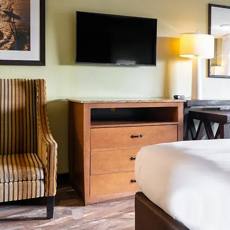 The Buena Park Hotel & Suites-2