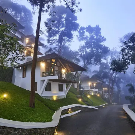 Forest Canopy Thekkady-2