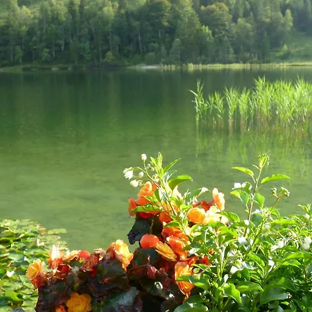 Gaestehaus Laerchenhang-2